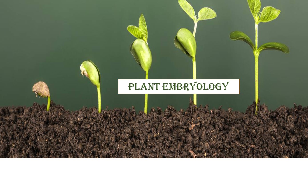 Plant Embroyology