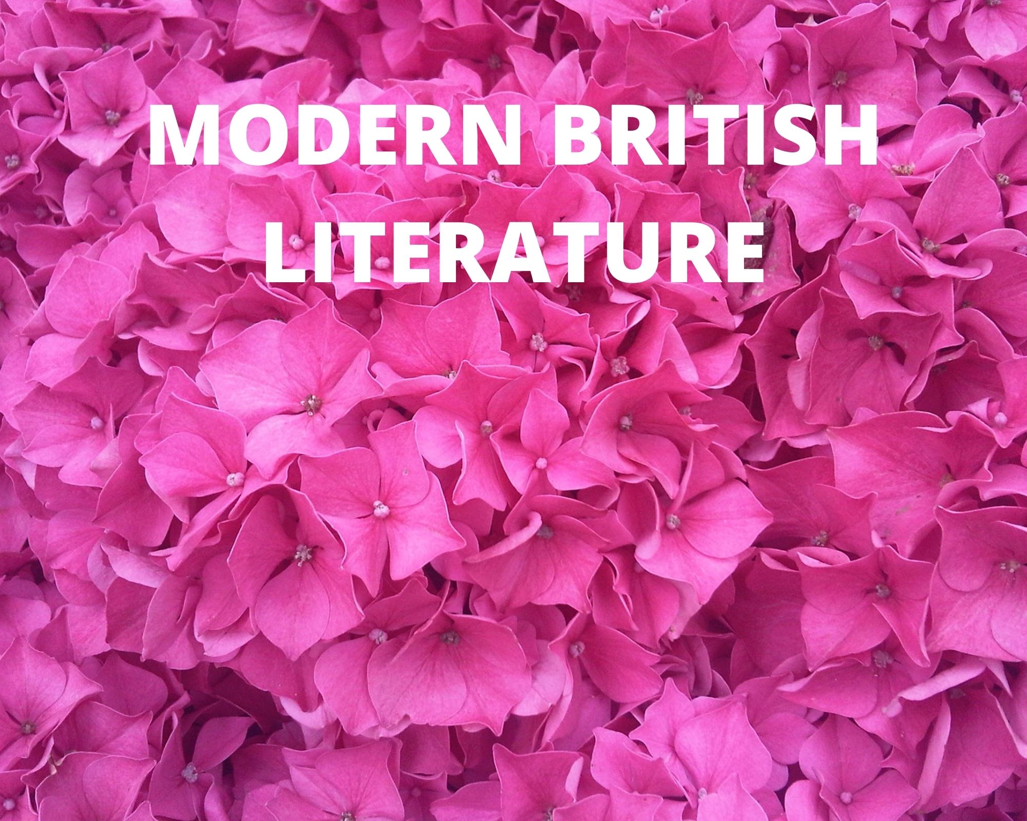 Neetu Bakshi-BA-III(Hons)English (Paper XIV Modern British Literature-II)