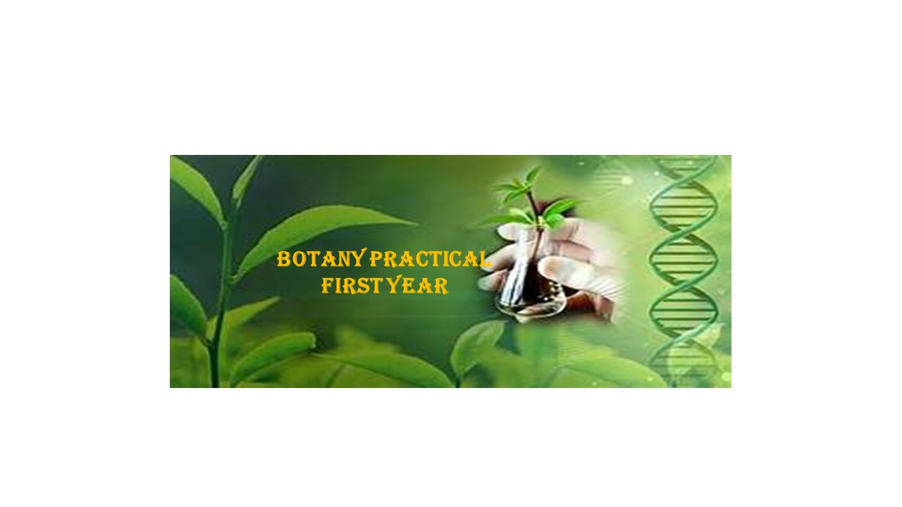 Botany Practical First Year