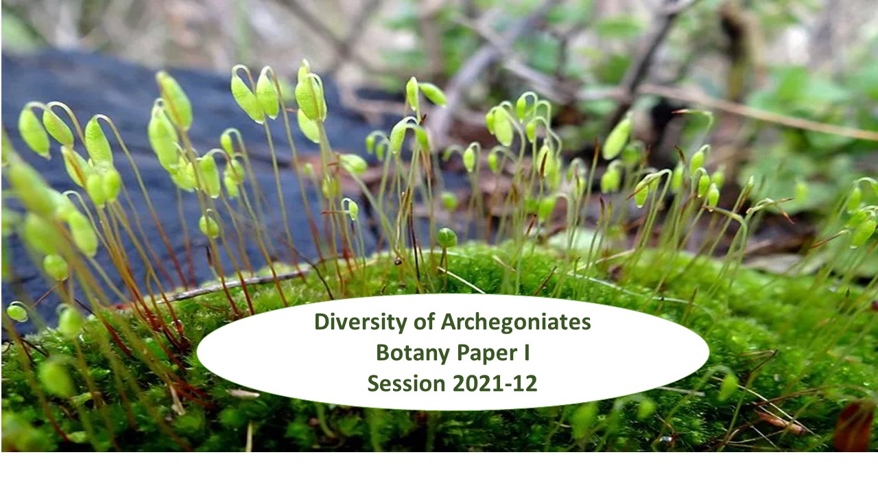  Diversity of Archegoniates Session 2021-22