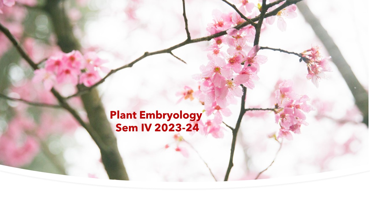 Plant Embryology