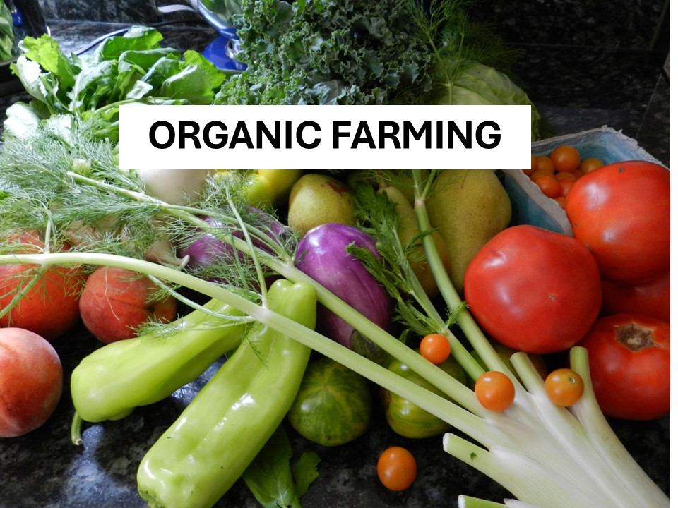 Organic Farming