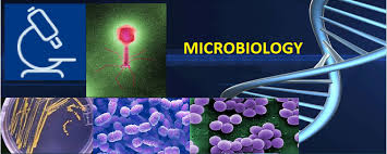 Nilima TYBSc Microbiology